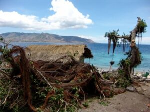 Photos Des Habitants Et Paysages De Sumba © André Graff Deleaupoursumba.org 30